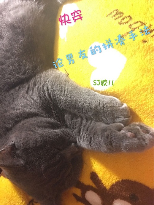 霸道王爷