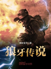 十八款夜间软件大全app下载
