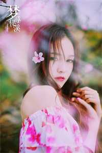 美景之屋4完整版神马