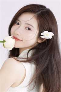 重生之军界女王
