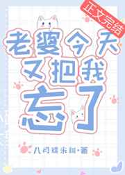 厨房奸母后续小说写