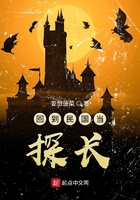 天才风水师