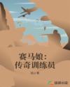 狐狸第二季电视剧免费观看全集