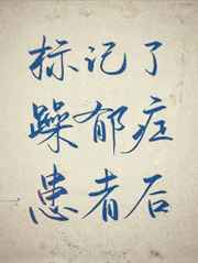 中国美专辑