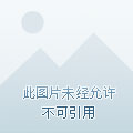 男主是大毒枭强迫女主