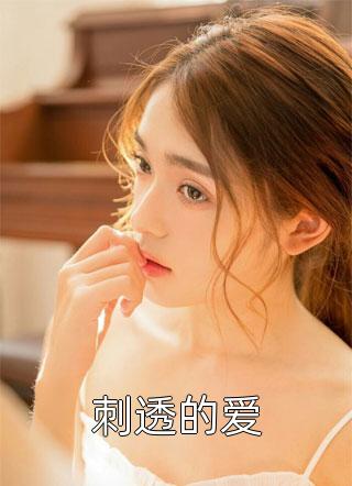 应该小说