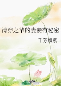 圆房视频大全