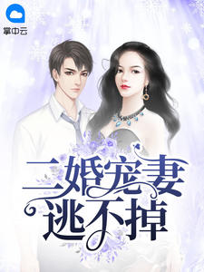 打胶女同事的鞋合集