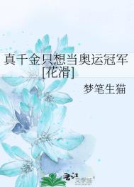 美景之屋4完整版神马