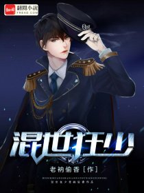 杨文书小说