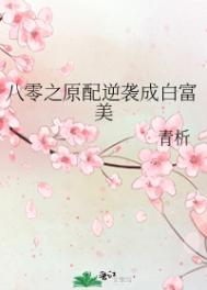 英雄无泪小说