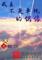 flv 播放器