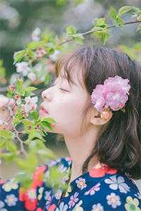 金银花露TXT小说