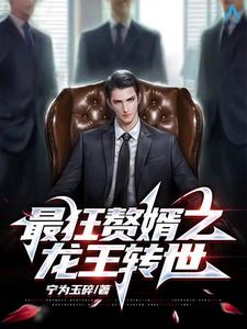 小宝寻花全部