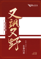 沙滩排球3