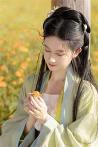 穿越类小说