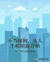 匹夫的逆袭
