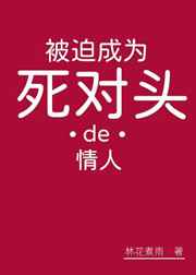 夫妻拼车