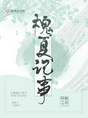 碧血剑2024版黄圣依版剧情