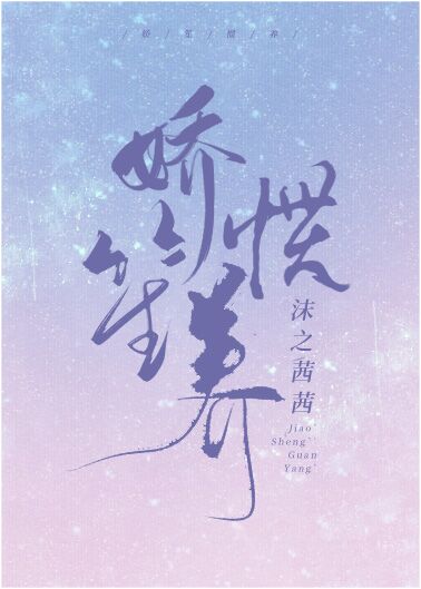 大当家电视剧全集超清免费观看