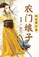 胤禟小说