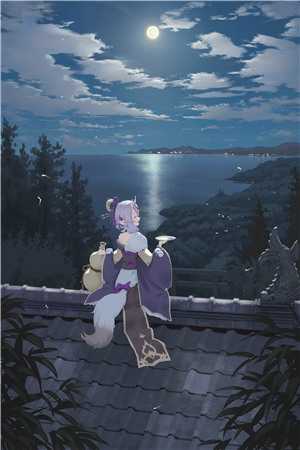 神奇宝贝之天空霸主