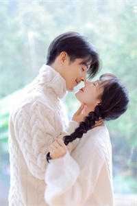 杨家将后传