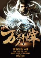 无翼乌全彩