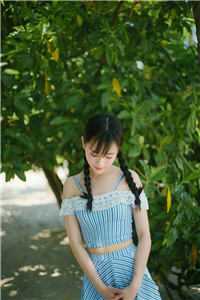 艾达王h